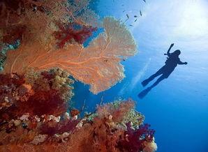 证据模式：红海奇迹,揭秘我国海洋科技崛起之路